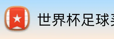世界杯足球买球 Logo